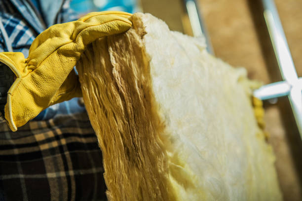 Best Eco-Friendly Insulation in Lyons, WI